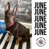 June