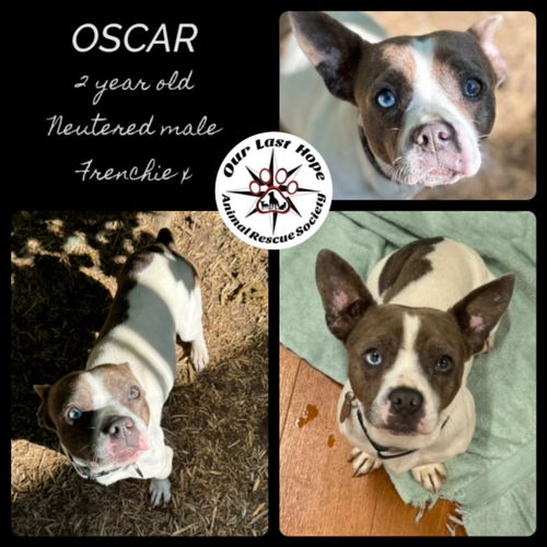 Oscar