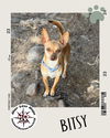 Bitsy