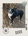 Dixie