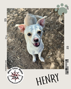 Henry