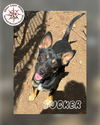 Tucker