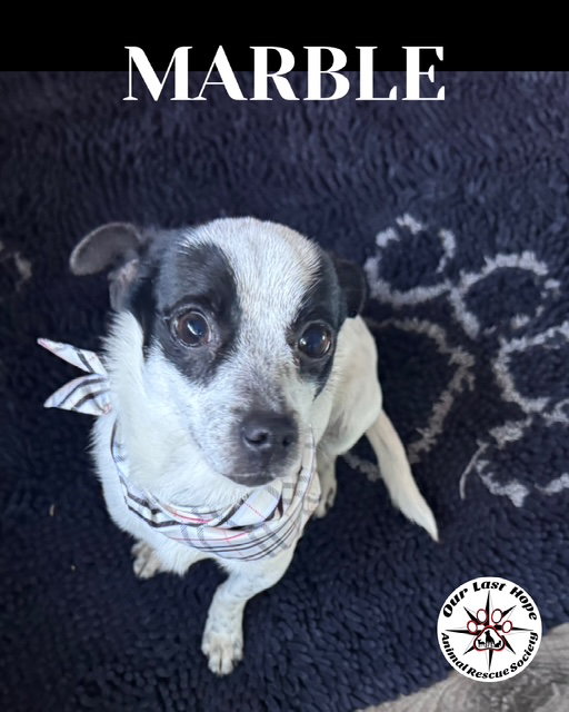 Marble Image