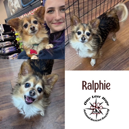 Ralphie