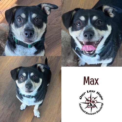 Max