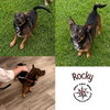 Rocky