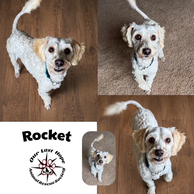 Rocket