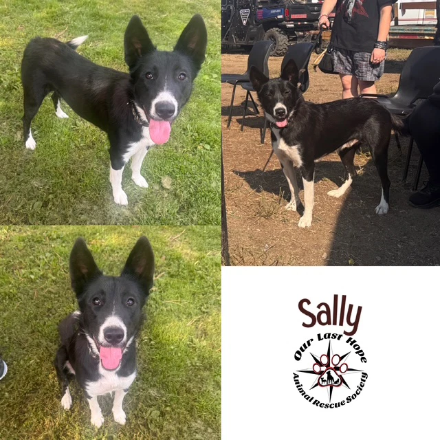 Sally