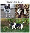 Squish, Sassy girl