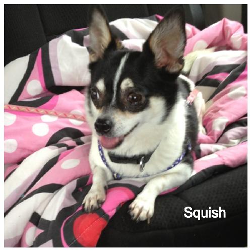 Squish, Sassy girl