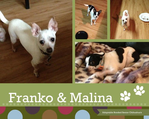 Franko and Malina