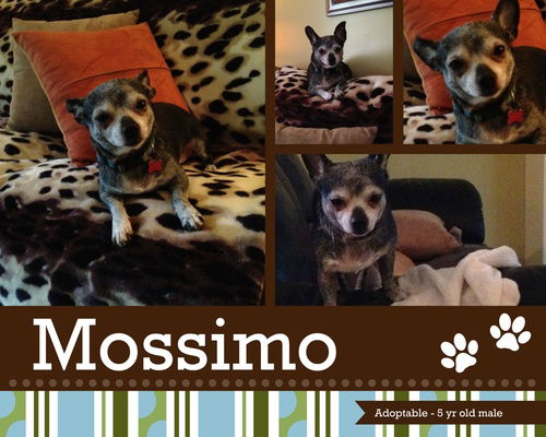 Mossimo