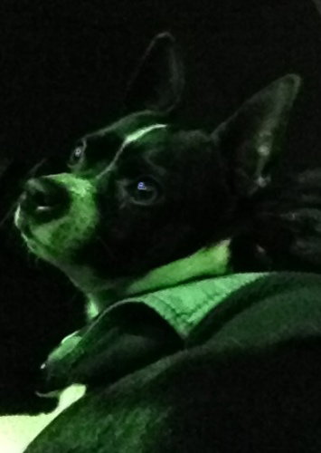 Spanky