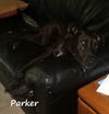 Parker