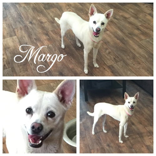 Margo