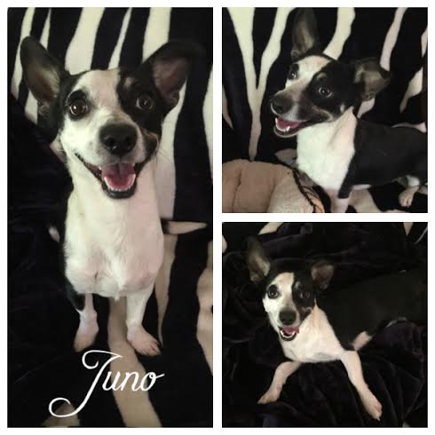 Juno