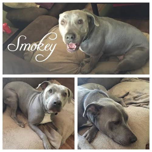 Smokey