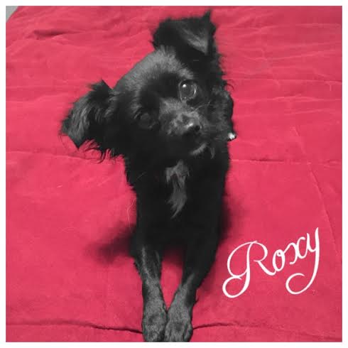 Roxy