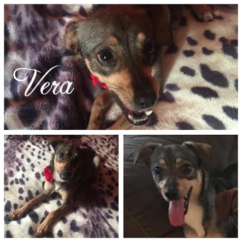 Vera