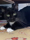 Meredith - Photo 2