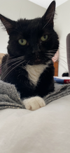 Meredith - Photo 1