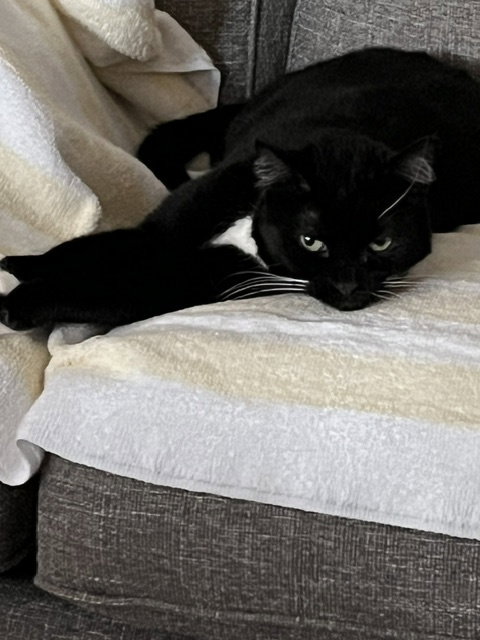 Photo 5 of Meredith