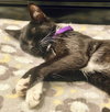 Meredith - Photo 3