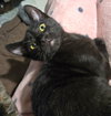 Walter - Photo 11