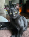 Walter - Photo 8