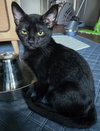 Walter - Photo 9