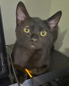 Walter - Photo 10