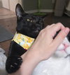 Walter - Photo 6