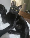 Walter - Photo 7