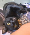 Walter - Photo 5