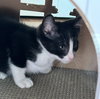 Champ - Photo 3