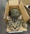 Lucky - Photo 2