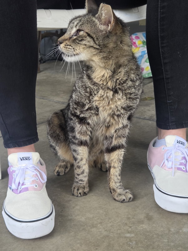 Tigger