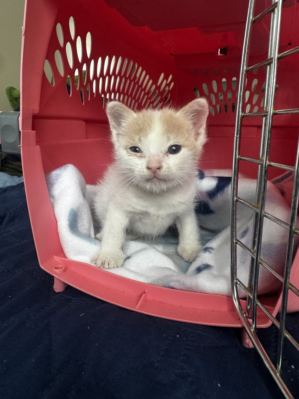 Winnie