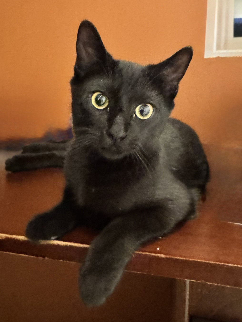 Berlioz