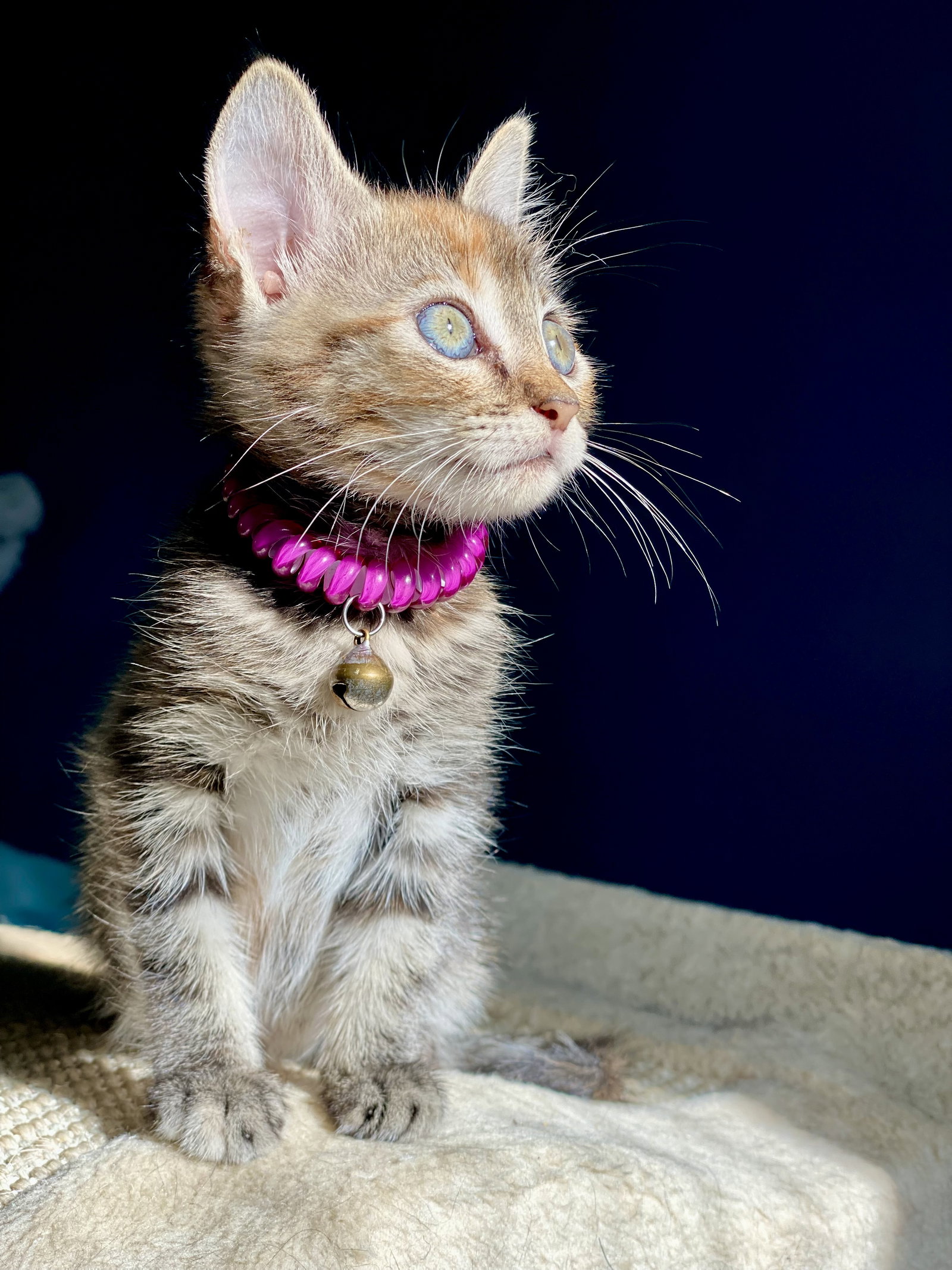 Little Ann, photo 7