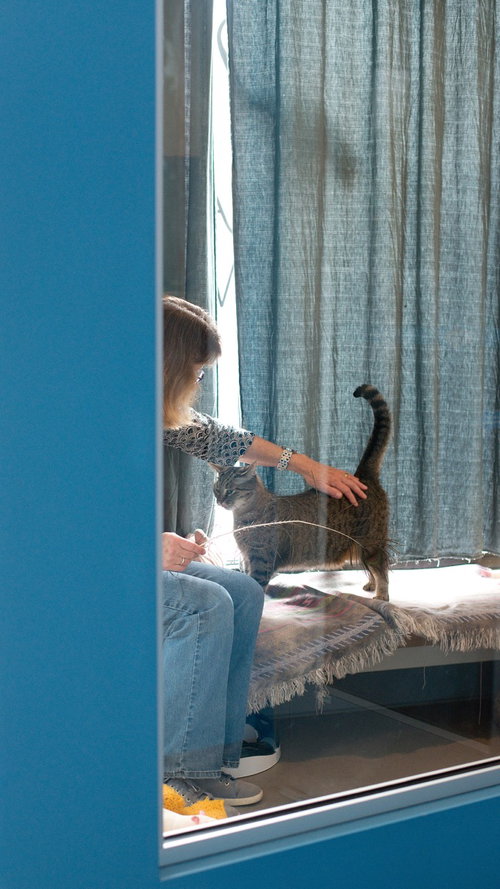 Photo 4 of Pepita