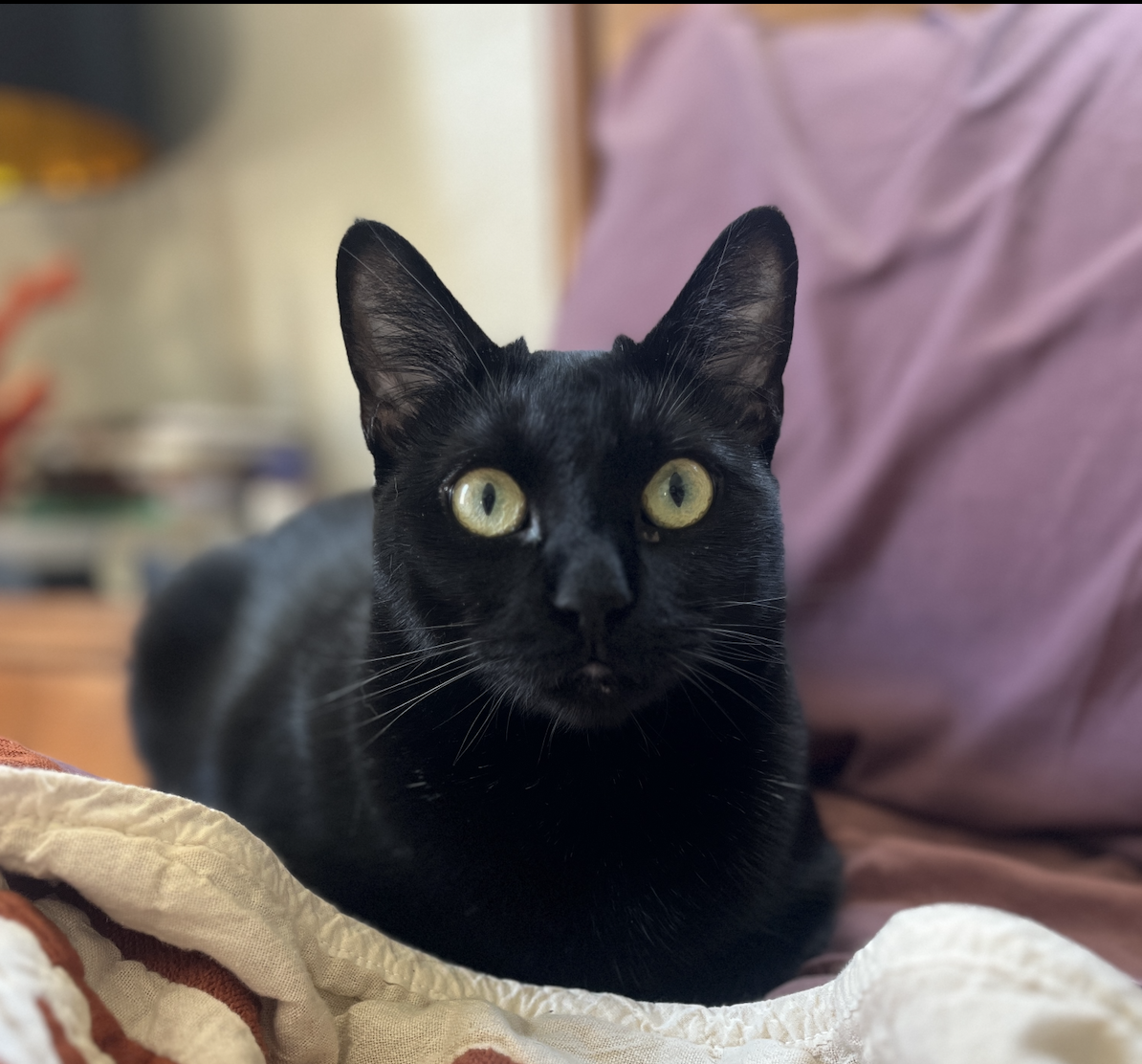 Kiki