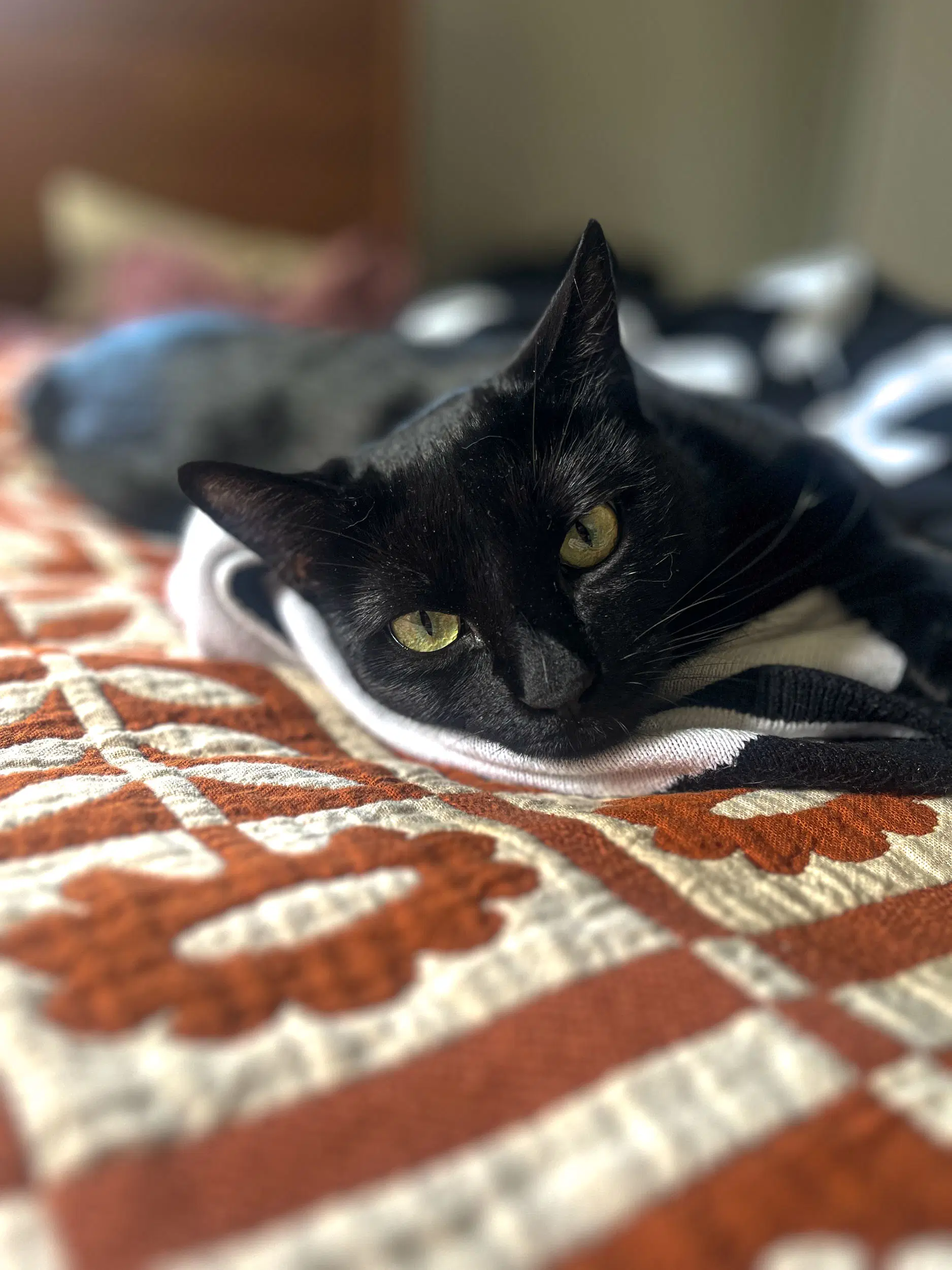 Kiki image 4