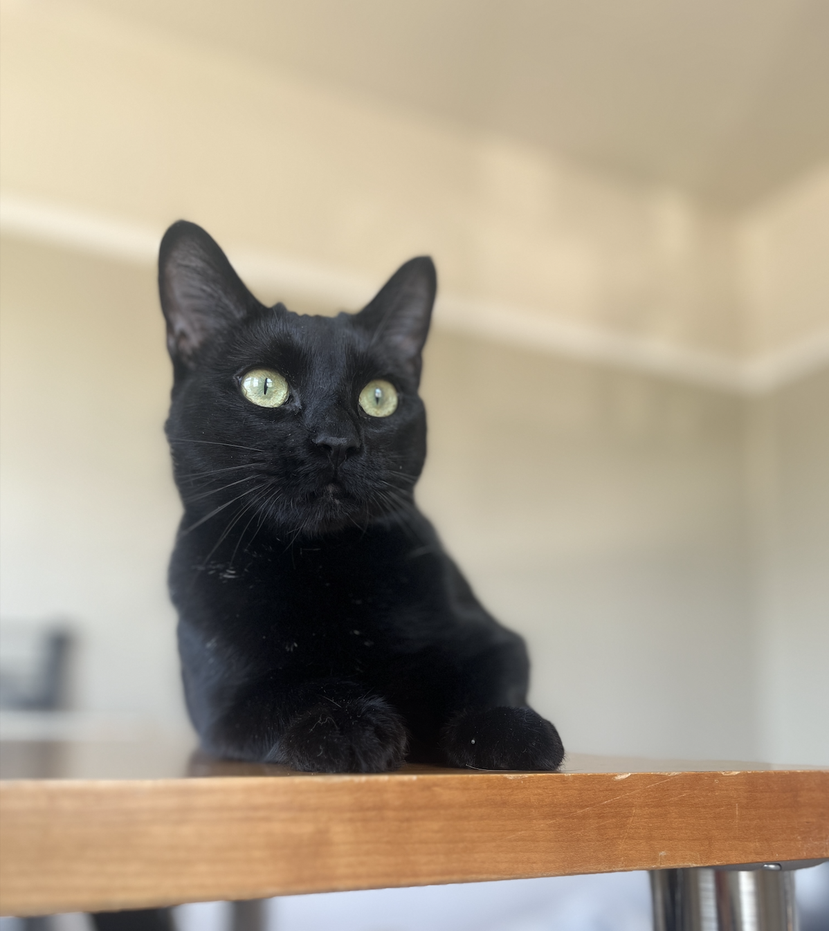 Kiki