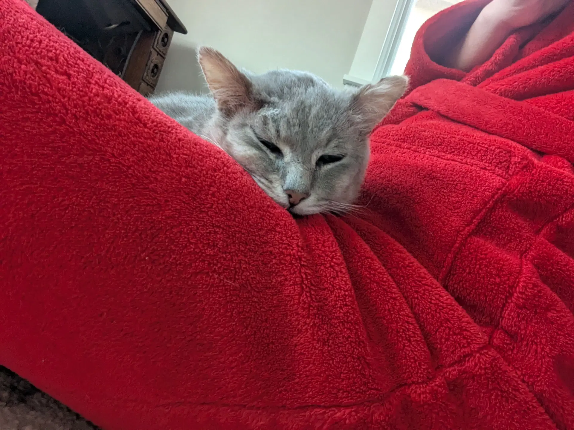 Gandalf image 2