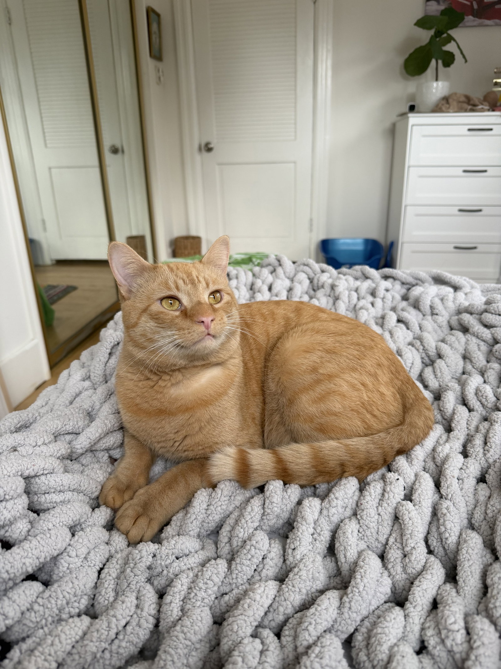 Tigger