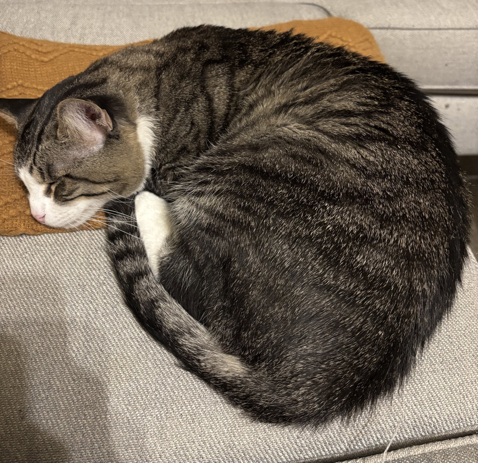 Seymour