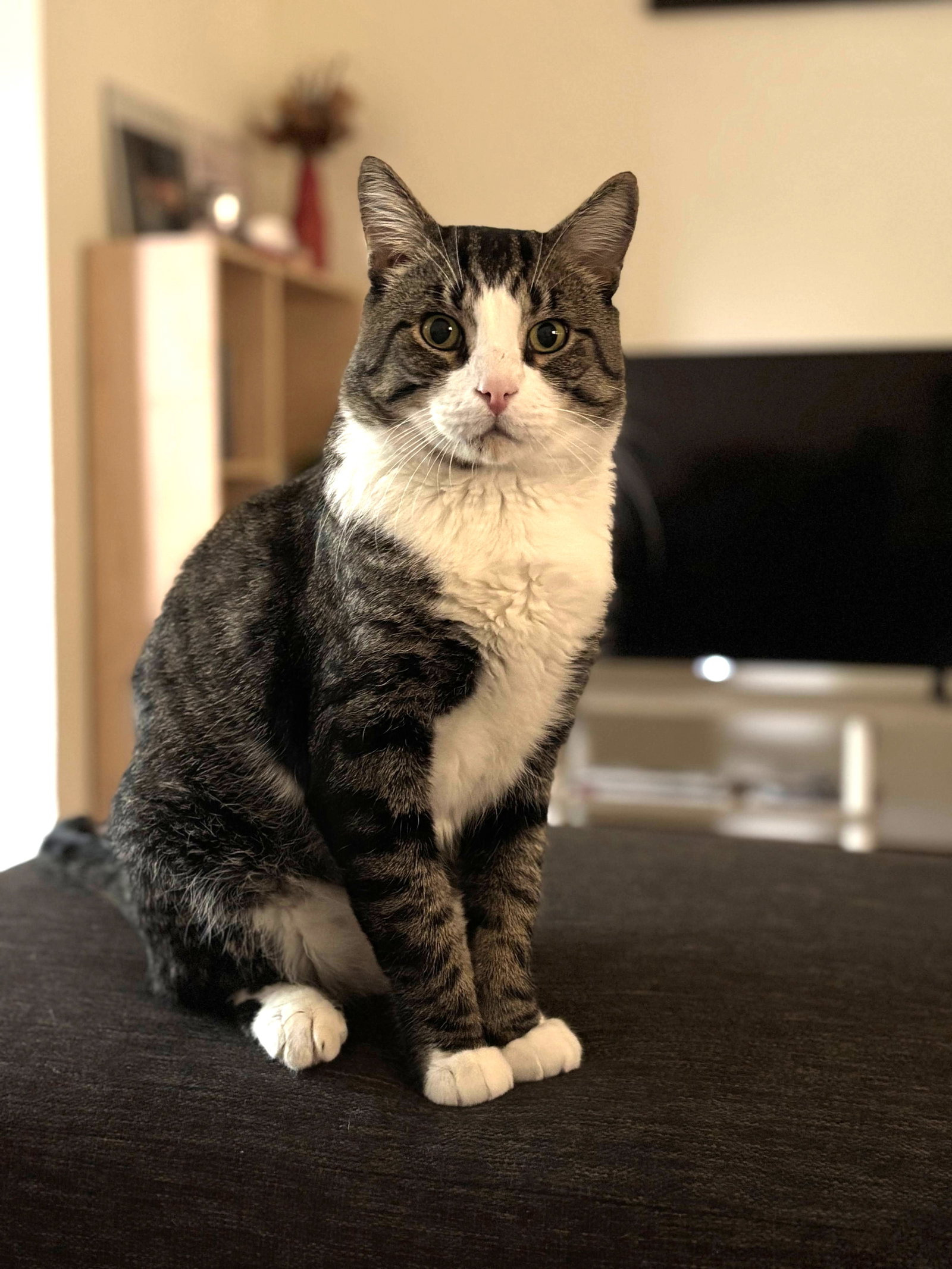 Seymour