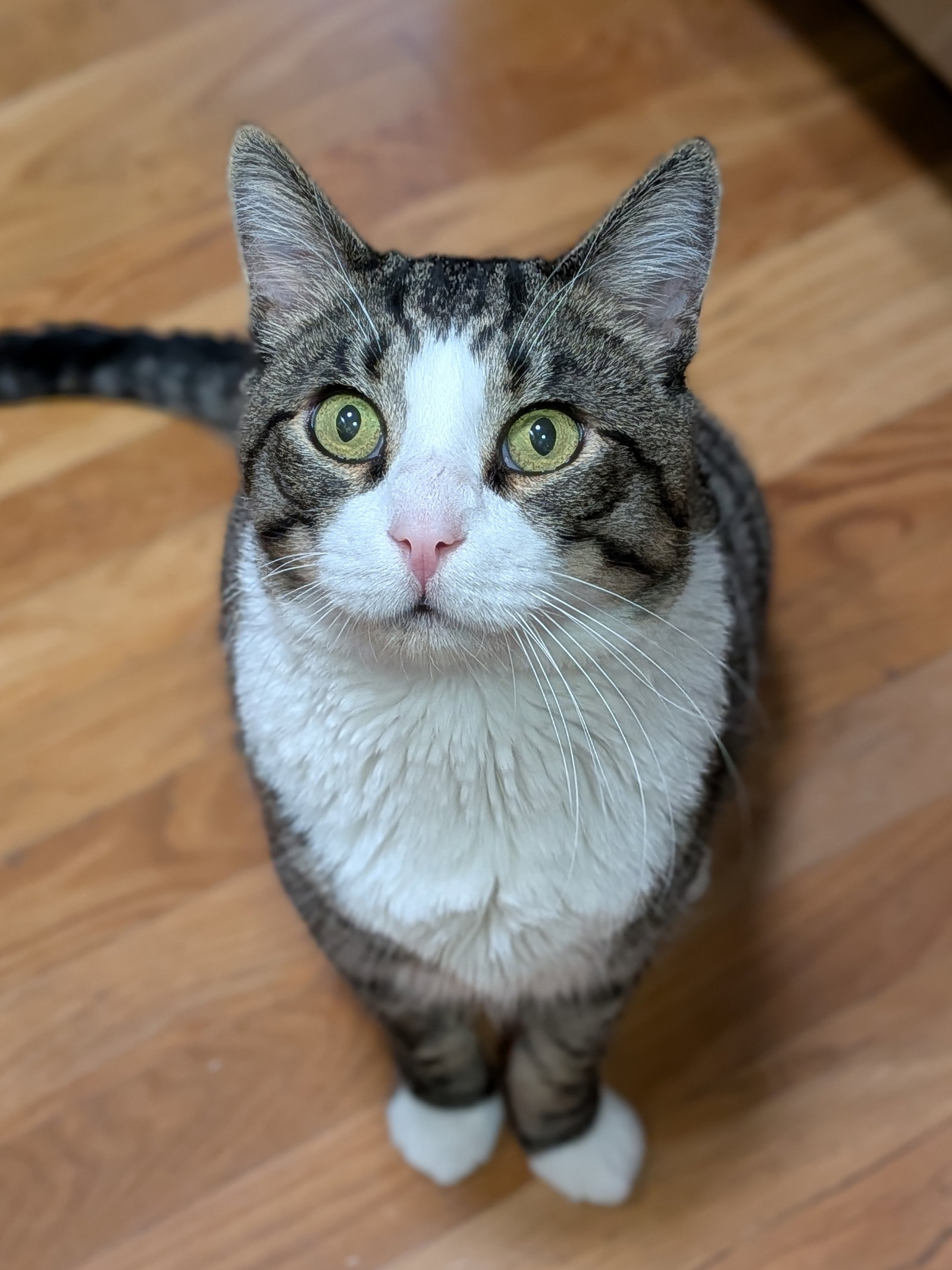 Seymour