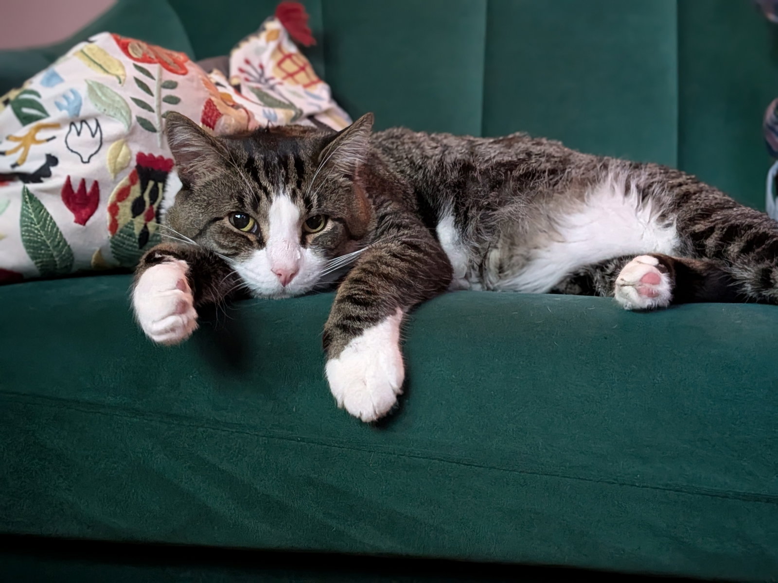 Seymour